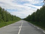 Ein netter Schwede gab mir den Tipp den „Vildmarksvägen“ zu fahren. Lag eh auf meinem Weg nach Norden.